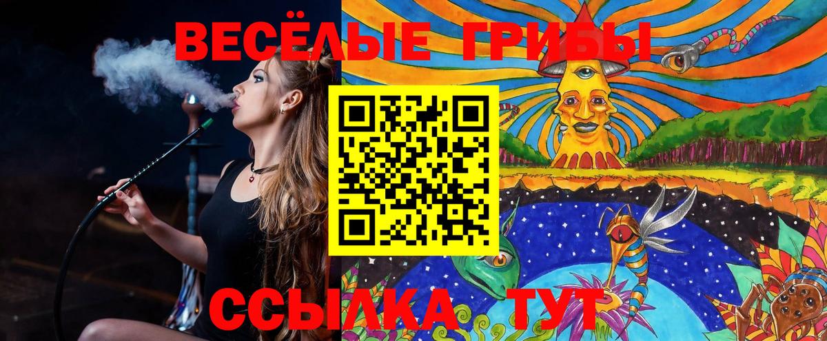 Галлюциногенные грибы ЛСД Шатура